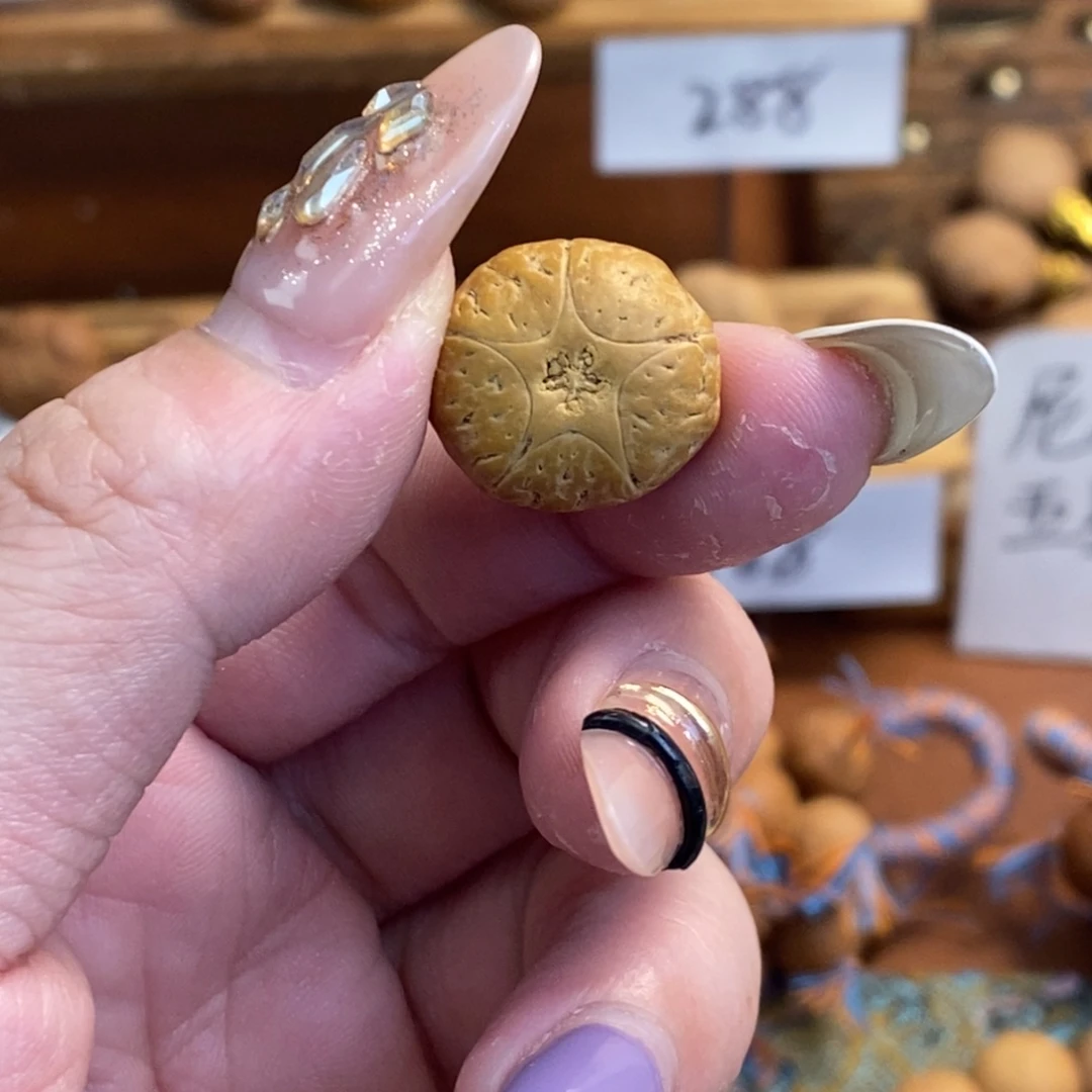 吊坠凤眼菩提17.2五星单颗厚11.2