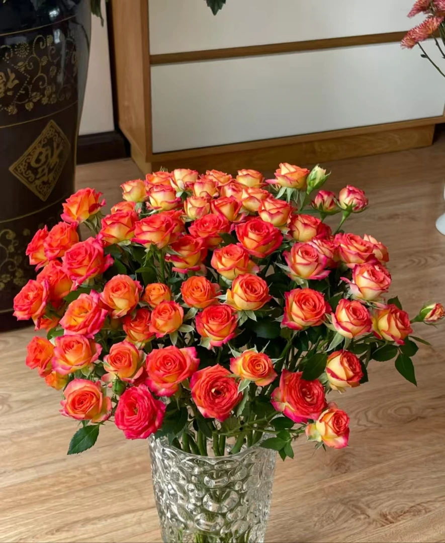 【顺丰包邮】多头爱丽丝  云南鲜花基地批发直播家用办公室插花