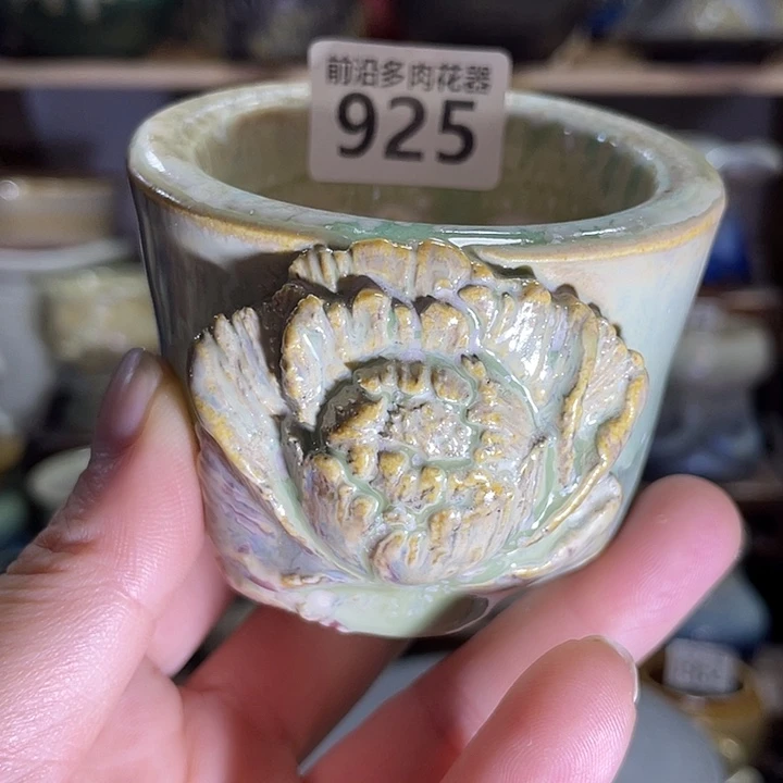 狼盆内口径6高度6