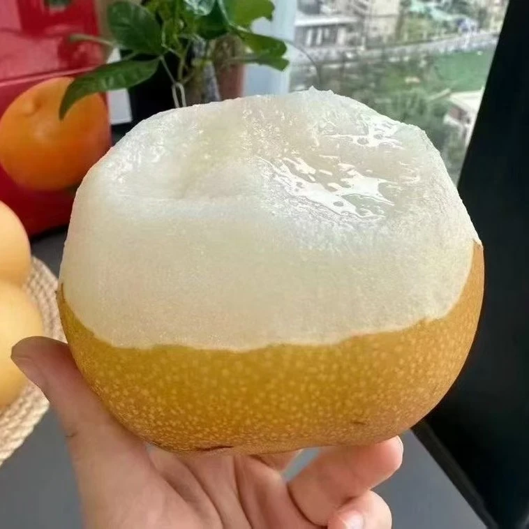 正宗产地秋月梨新鲜现摘当季水果脆甜多汁细腻无渣