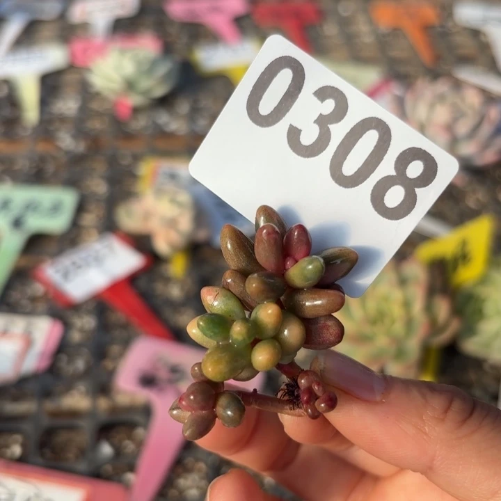 满18包邮当场凑单