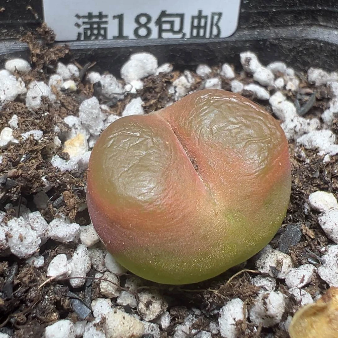 【闪购商品】 796。