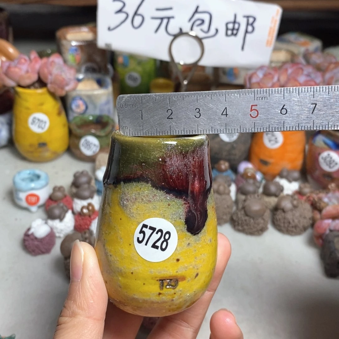 拍5送一个小礼物
