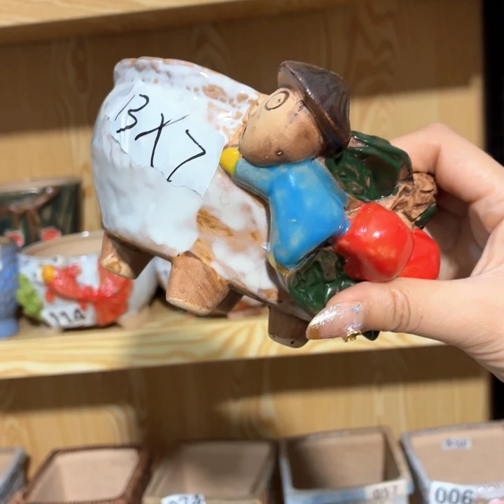 多肉花盆满15包邮