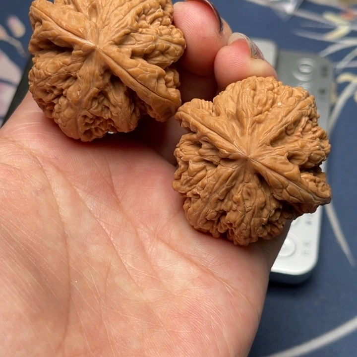 文玩核桃把件粗筋41