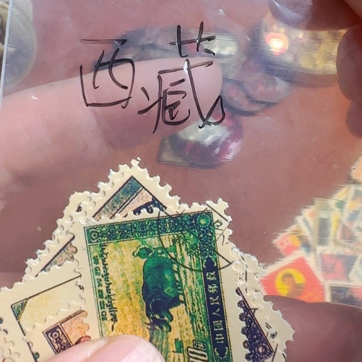 直播链接喜欢直接拍