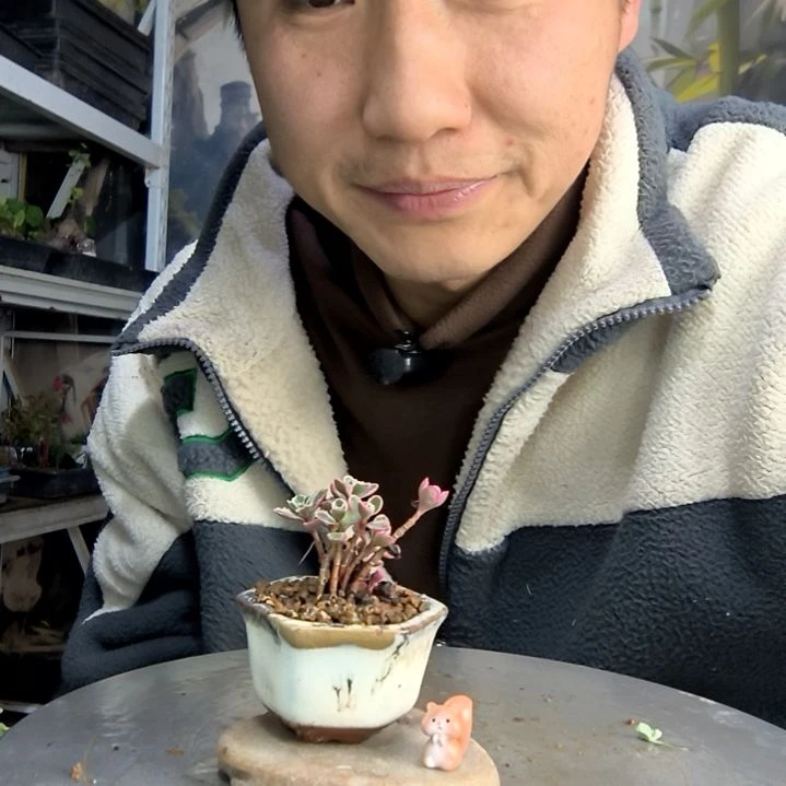 靳*钰中青园艺一物一拍483