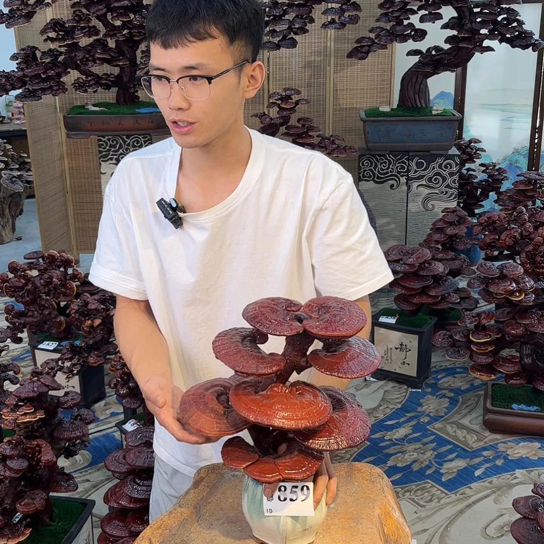 无花朵8888888888880808888888