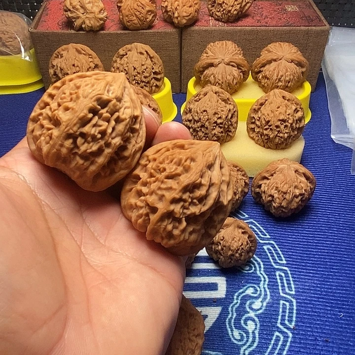 老树涞鸡福利多多