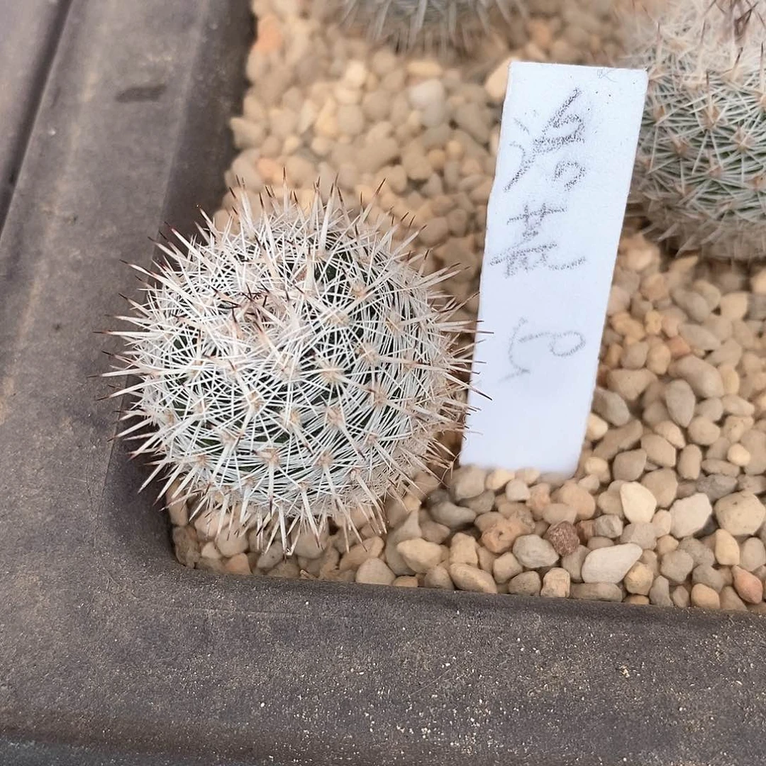 洛*舟土土土花花花花花花花花