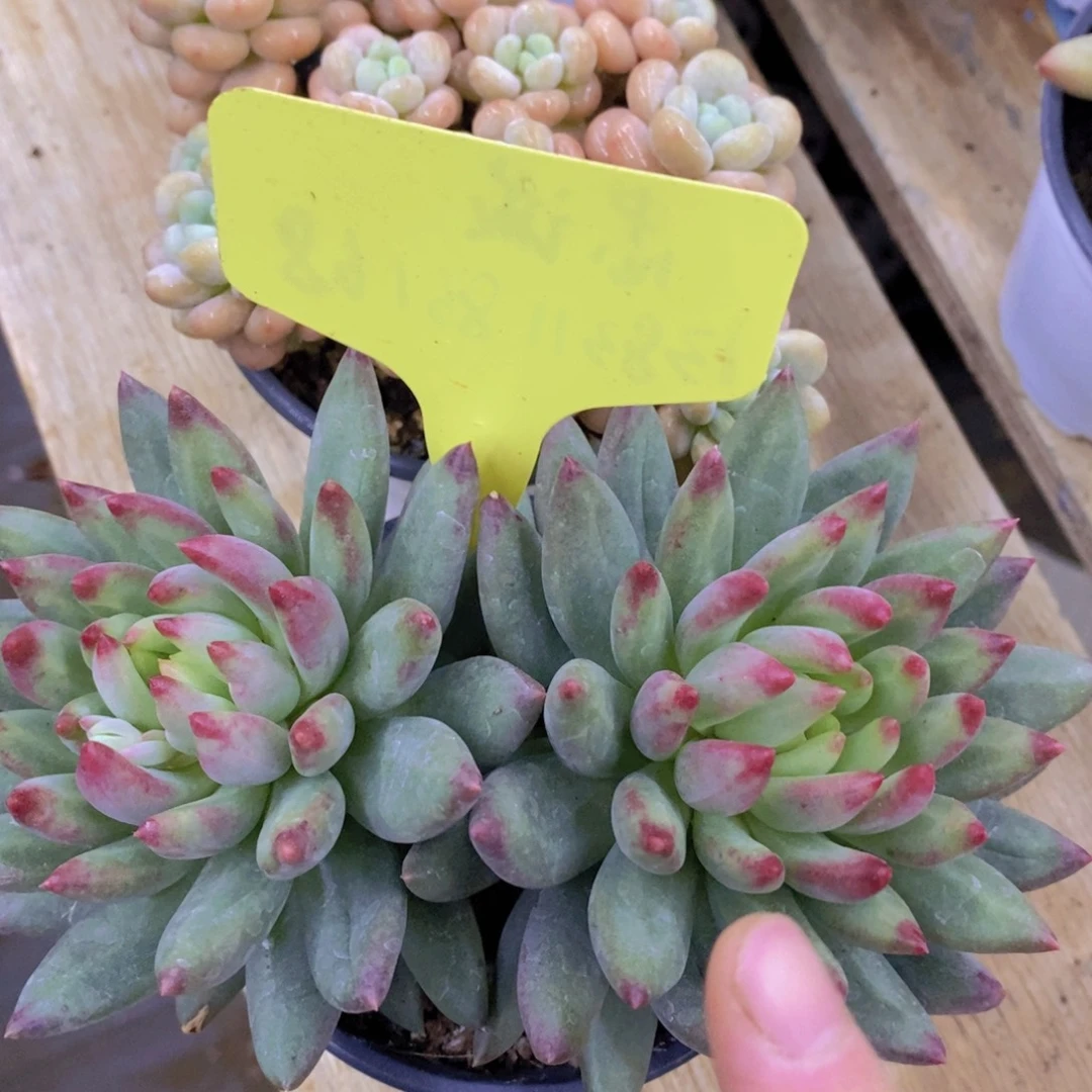 清货专场，粉丝一单包邮