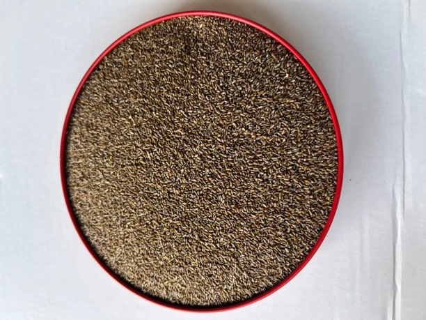 内蒙特产蒿籽天然野生干净美食制作