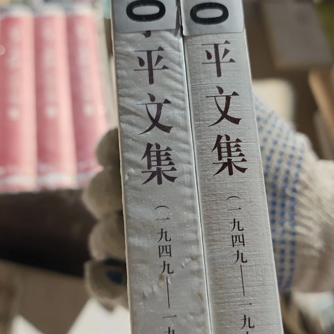 邓什么什么文集两本一套库存书