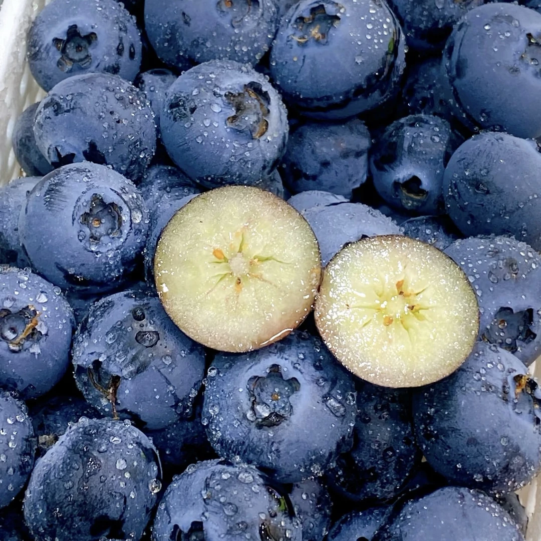 中果12mm+云南花香脆甜蓝莓应季新鲜水果顺丰京东冷链