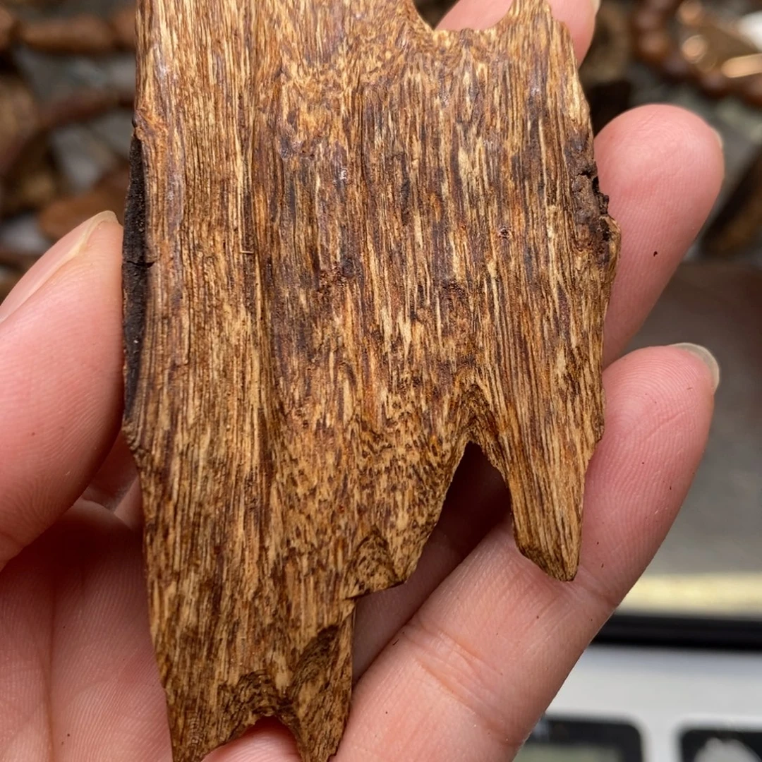 沉香沉香碎屑都蓬