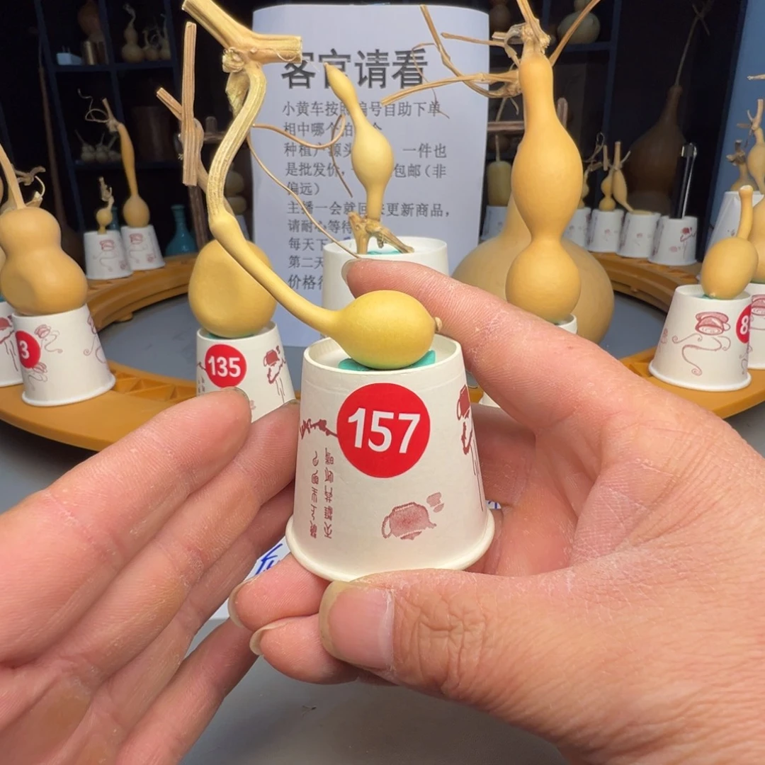 闪电购自助下单编号157