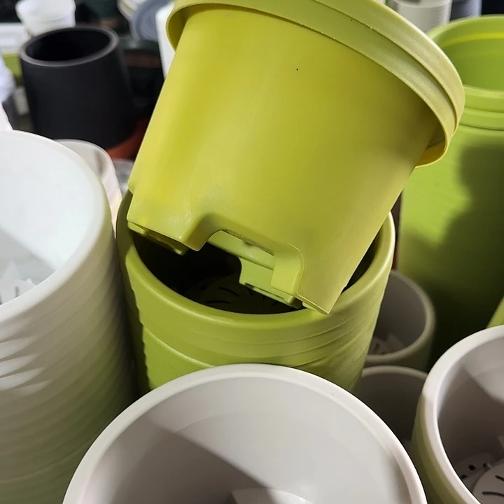 球根21口径6个无托果绿