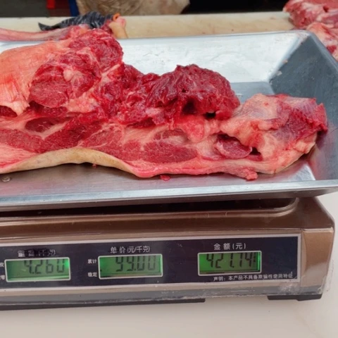 【闪购商品】冷冻保存30 天包装河北省