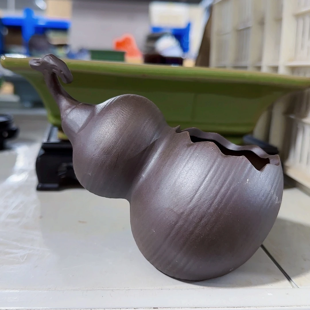 陶瓷花盆特价上新