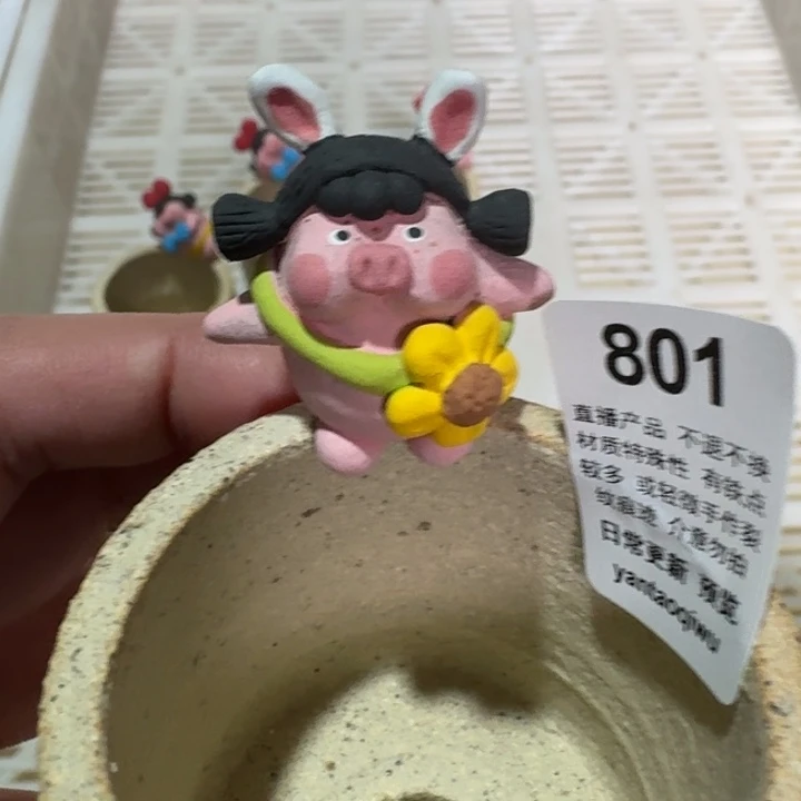 炏陶器物多肉花盆801