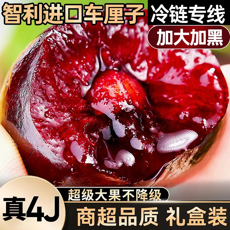 【4JD特大果破价】智利车厘子净重5斤整箱海运内附果径卡