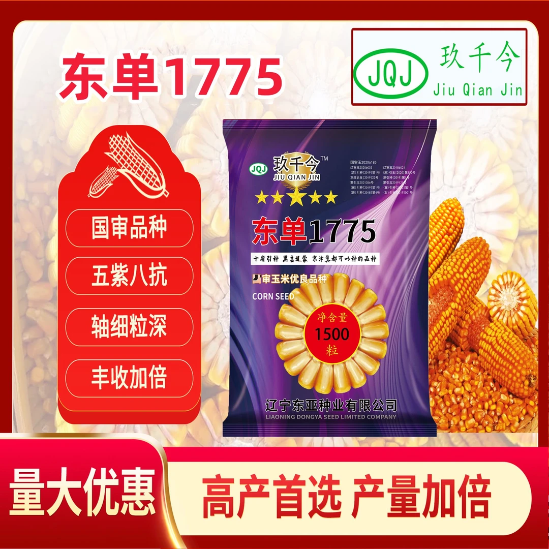 东单1775高产玉米品种积温2650以上均可种植矮杆双棒稀植密植均可