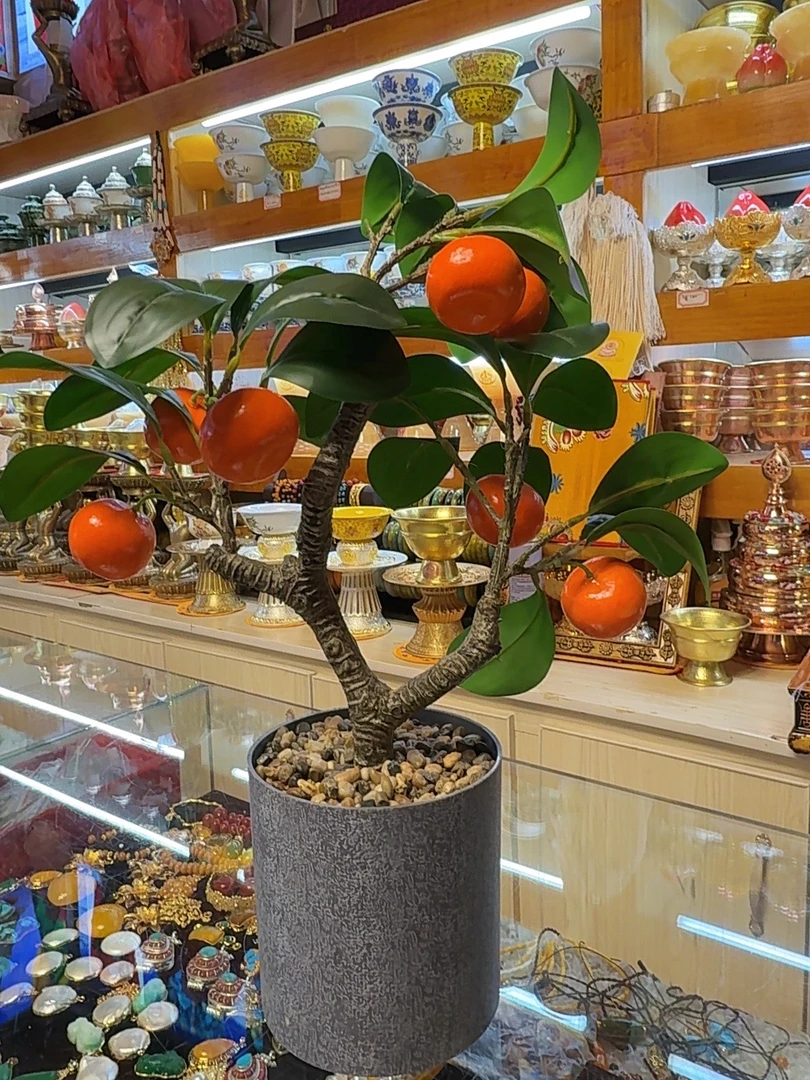 家居摆件绿植橘树