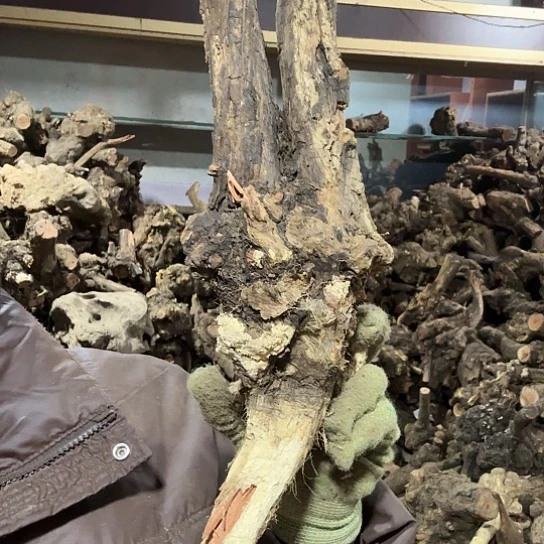 香榧木@**号火琉璃的故事毛料摆件