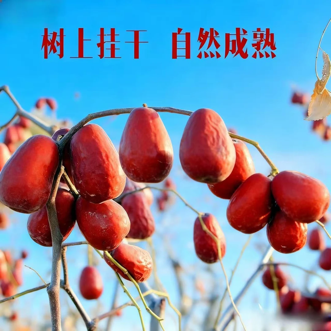 【2025和田红枣产地发货】大颗粒新疆红枣饱满肉厚未加工未清洗核小