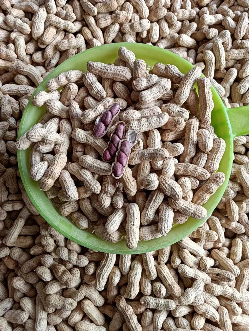 连城红衣湿烤花生（很香）