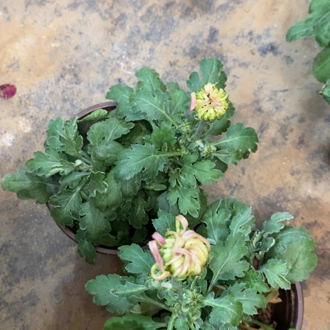 完全开放000882222