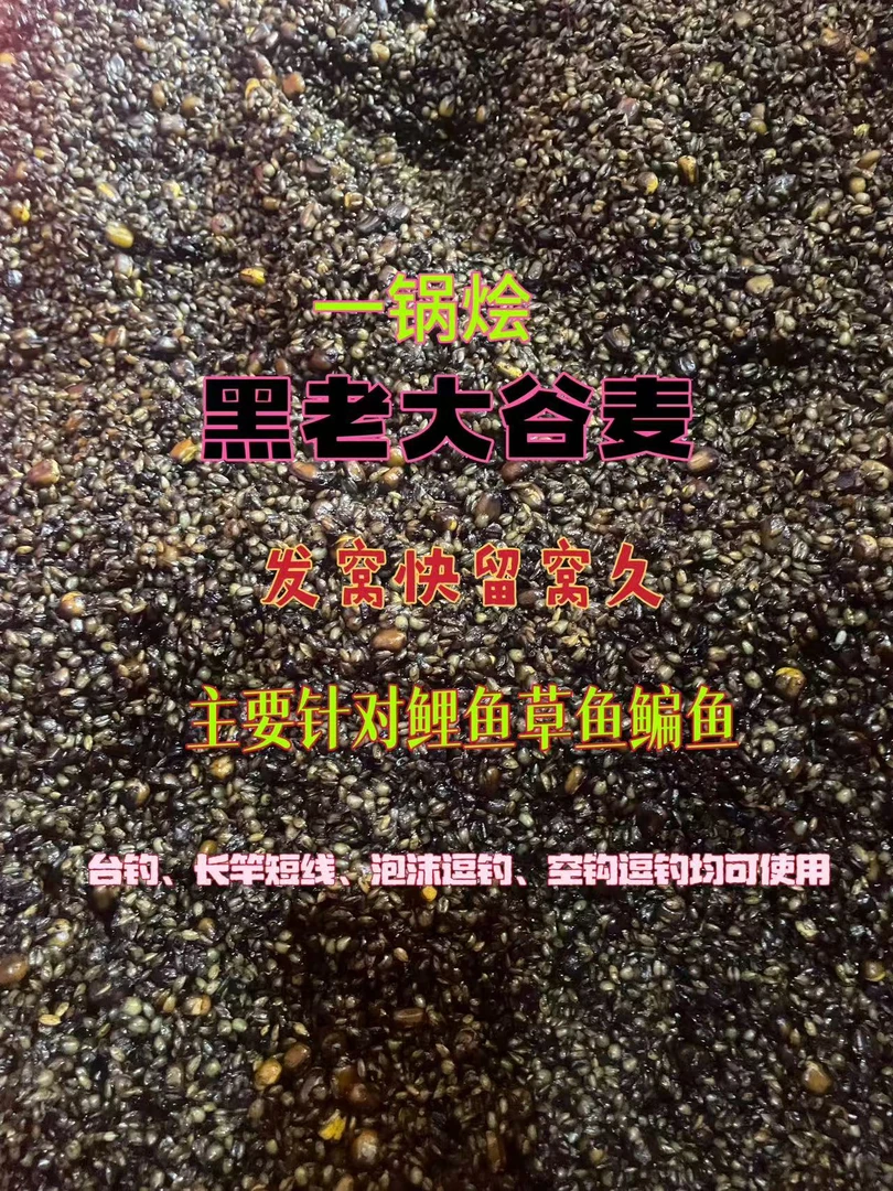 【五代装】一锅烩黑老大谷麦针对鲤鱼草鱼鳊鱼鲫鱼