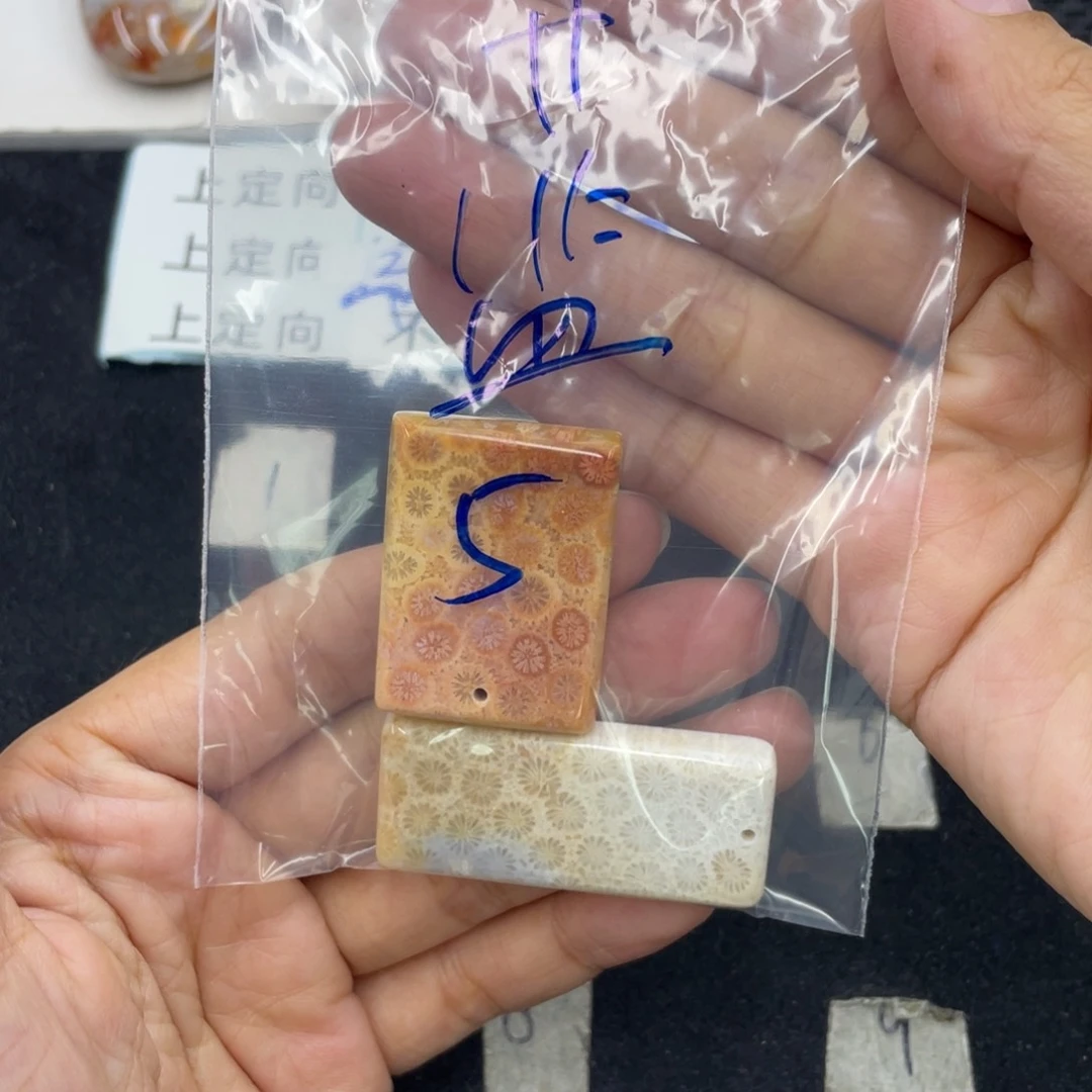 硅化珊瑚（珊瑚玉）合金颈饰蓝****边