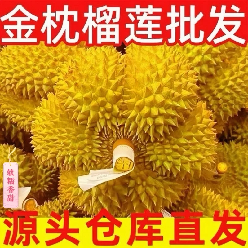 【现货】榴莲泰国进口金枕A级整果 新鲜水果软糯香甜坏果包赔