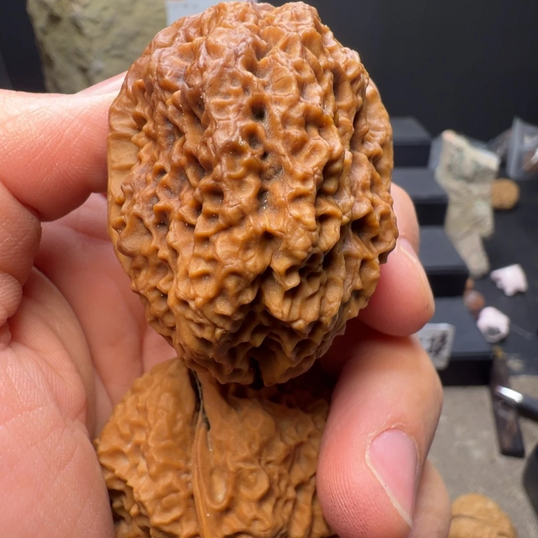 文玩核桃吊坠四海飞龙44mm，52mm