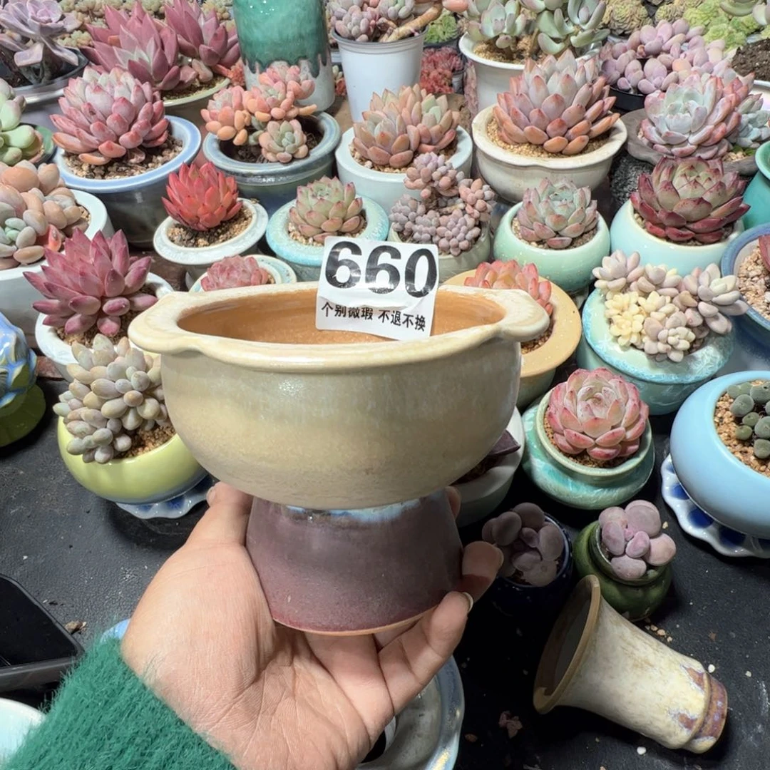 凑满50发货 内口10