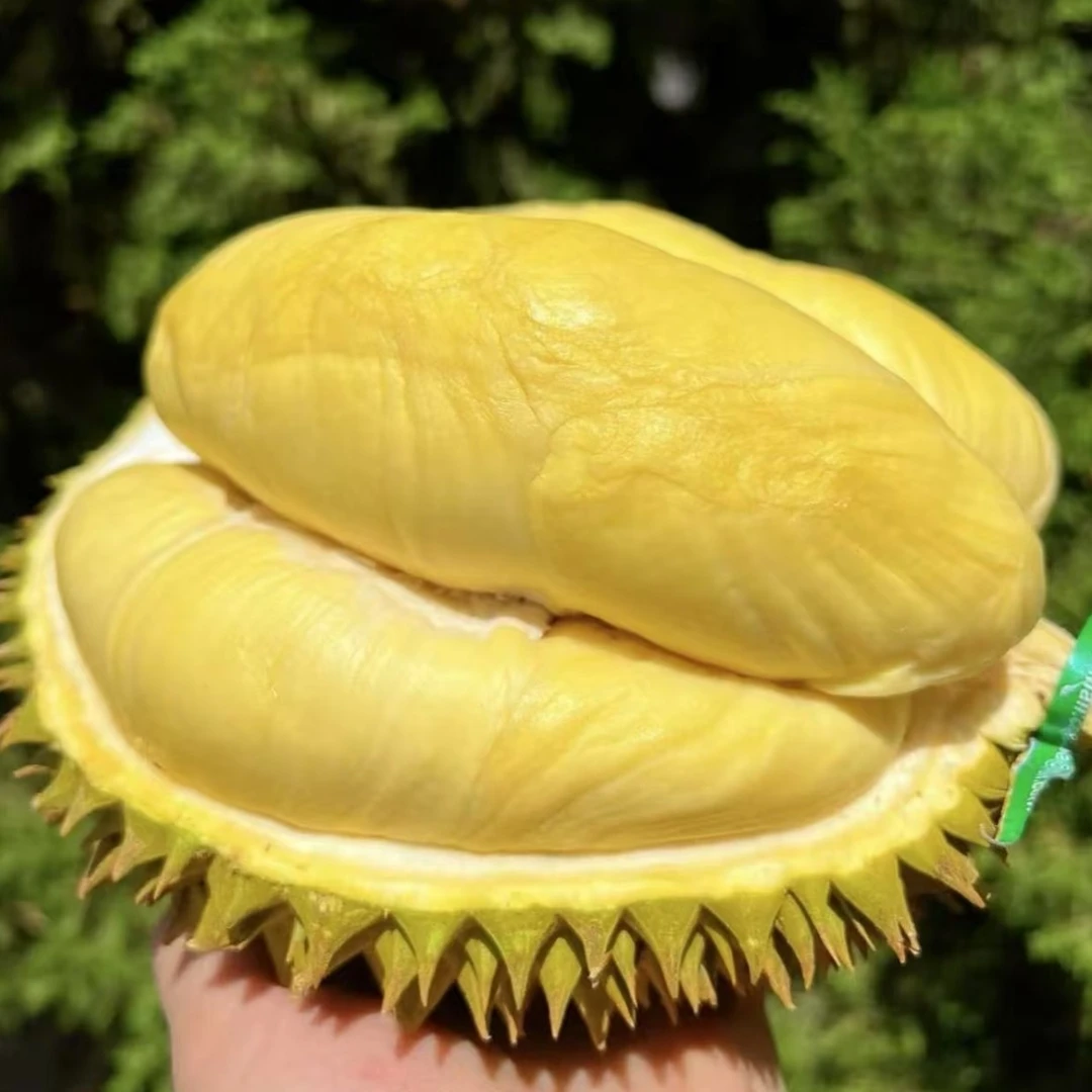 【精选整果AA】泰国金枕树熟干包【约7-7.5斤】壳薄核小香甜软糯（至少4房）新鲜榴莲金枕泰国东部金枕泰国东部