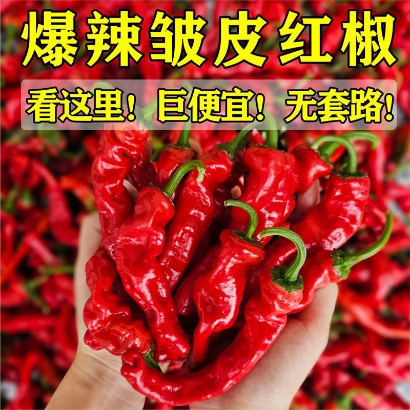新鲜现摘特辣小皱皮辣椒薄皮青椒农家自种应季蔬菜特产青紫红混装