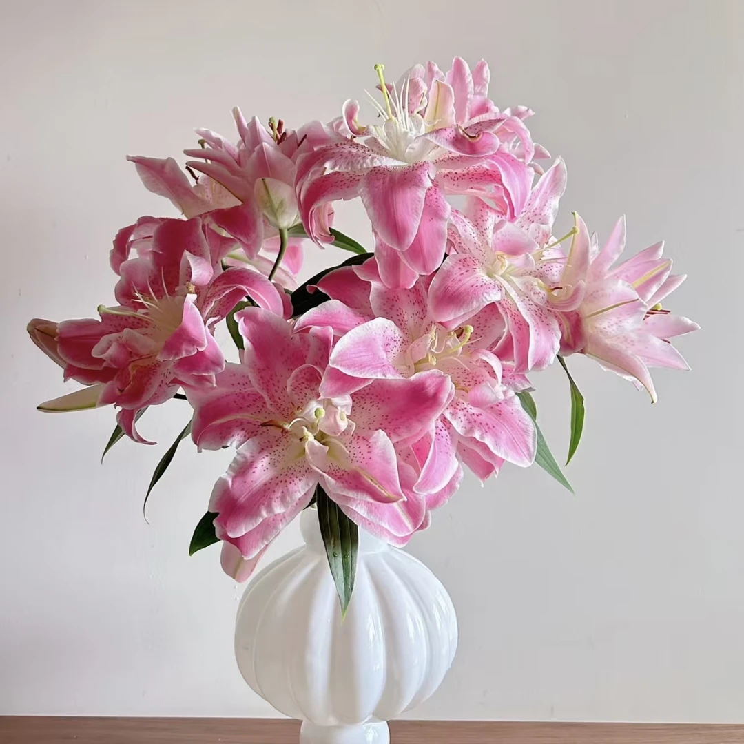 粉拉菲重瓣香水百合鲜花（5度以下拍保温棉，不拍冻坏不售后）