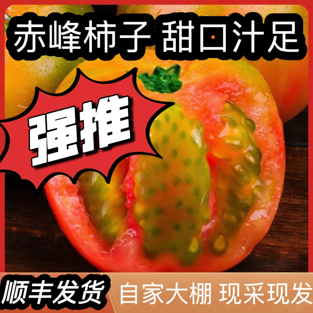 拍4斤发8斤［微疵中小果混发］内蒙古赤峰顺丰直发草莓柿子