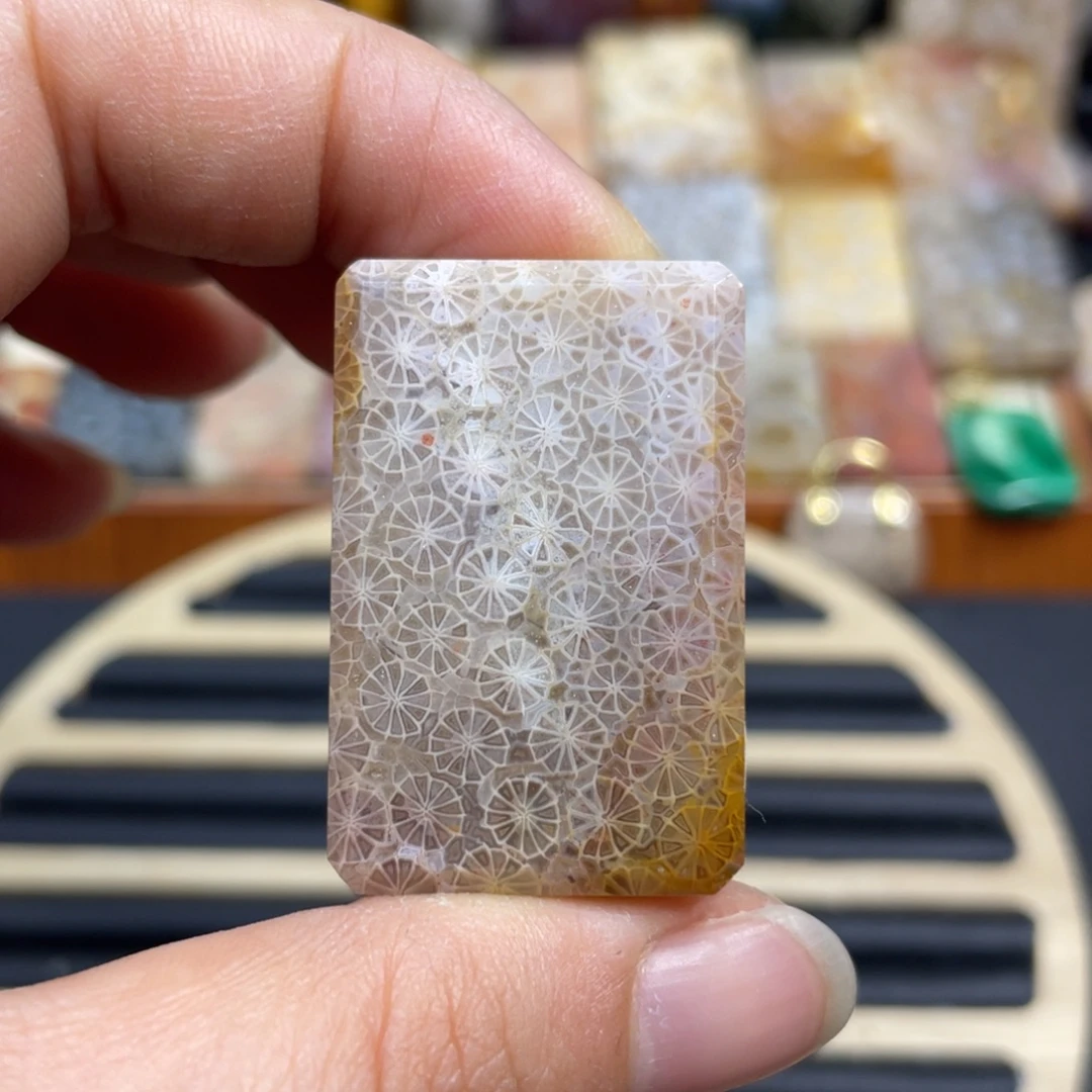 硅化玉未镶嵌颈饰k60