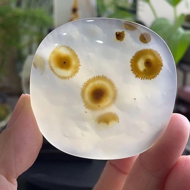 玛瑙/玉髓未镶嵌珠宝半成品