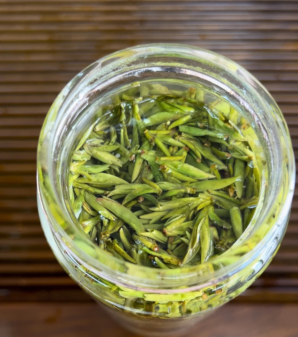 2025新明前肥芽龙井新茶品鉴豆香浓