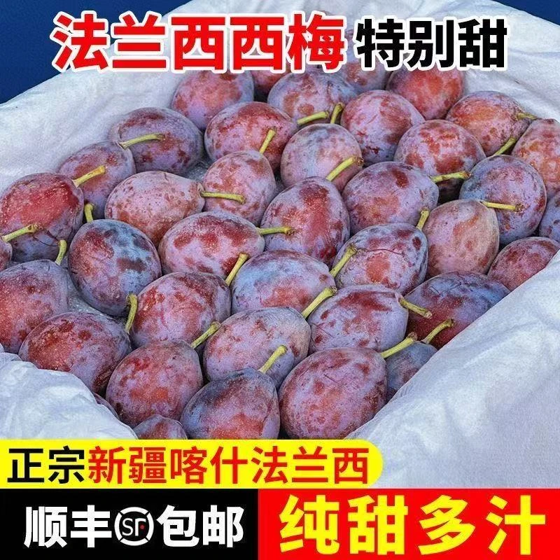 1【顺丰包邮】新疆喀什法兰西西梅水果包邮精选