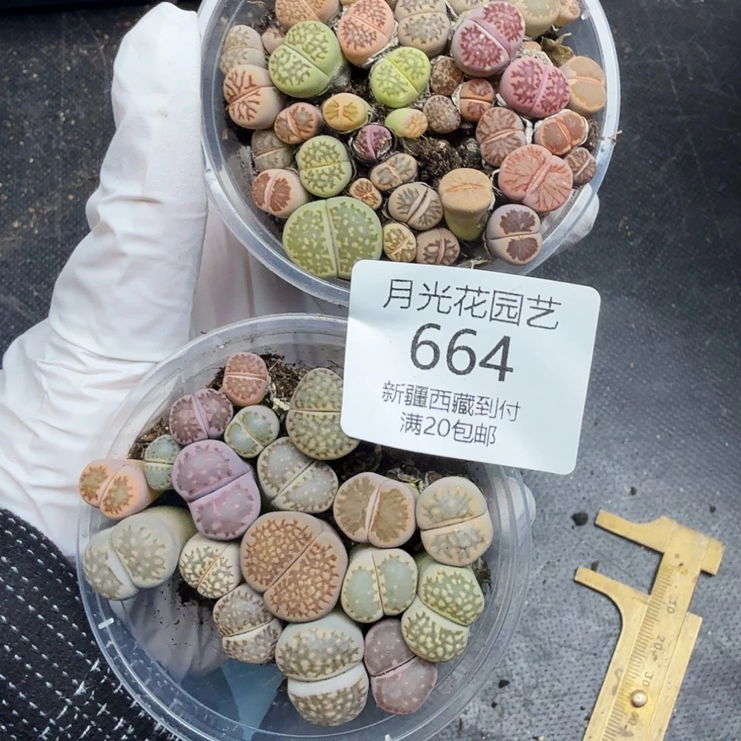 你要吃就去看电影哈664哈哈