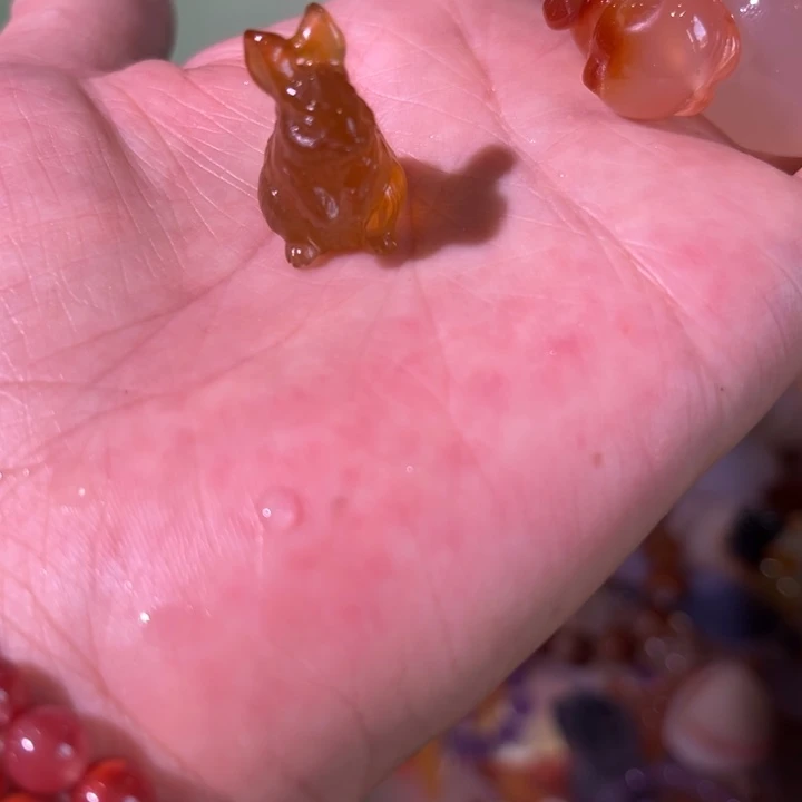 平***湖玛瑙/玉髓颈饰未镶嵌