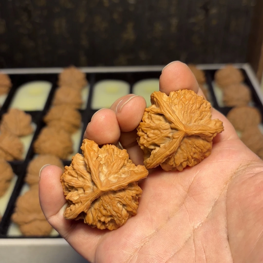大叶紫檀（黑酸枝木类）