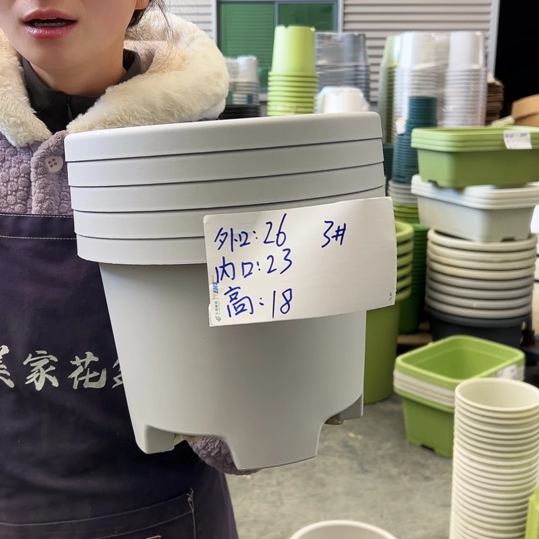 球根盆3#灰白5个无托