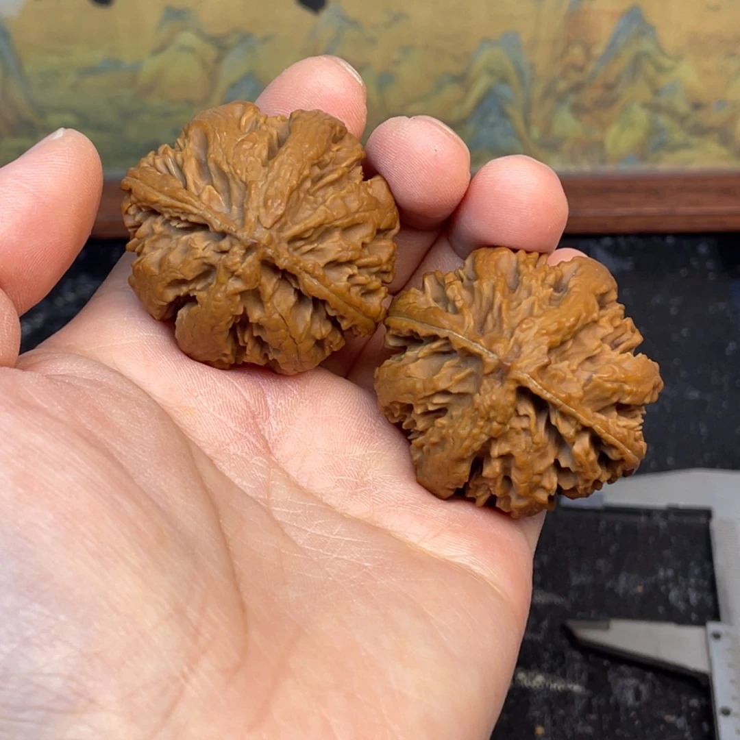 虾***高核桃6号链接666666