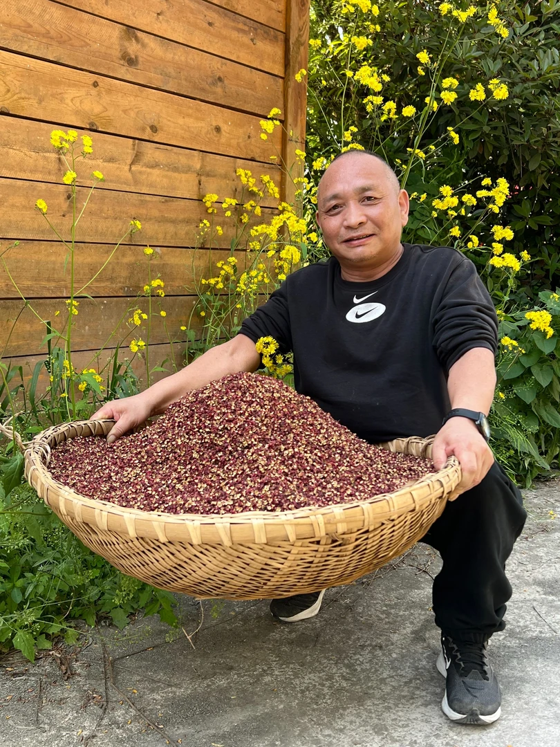 四川茂汶大红袍花椒2024年新货正宗大红袍麻香味浓郁口感佳